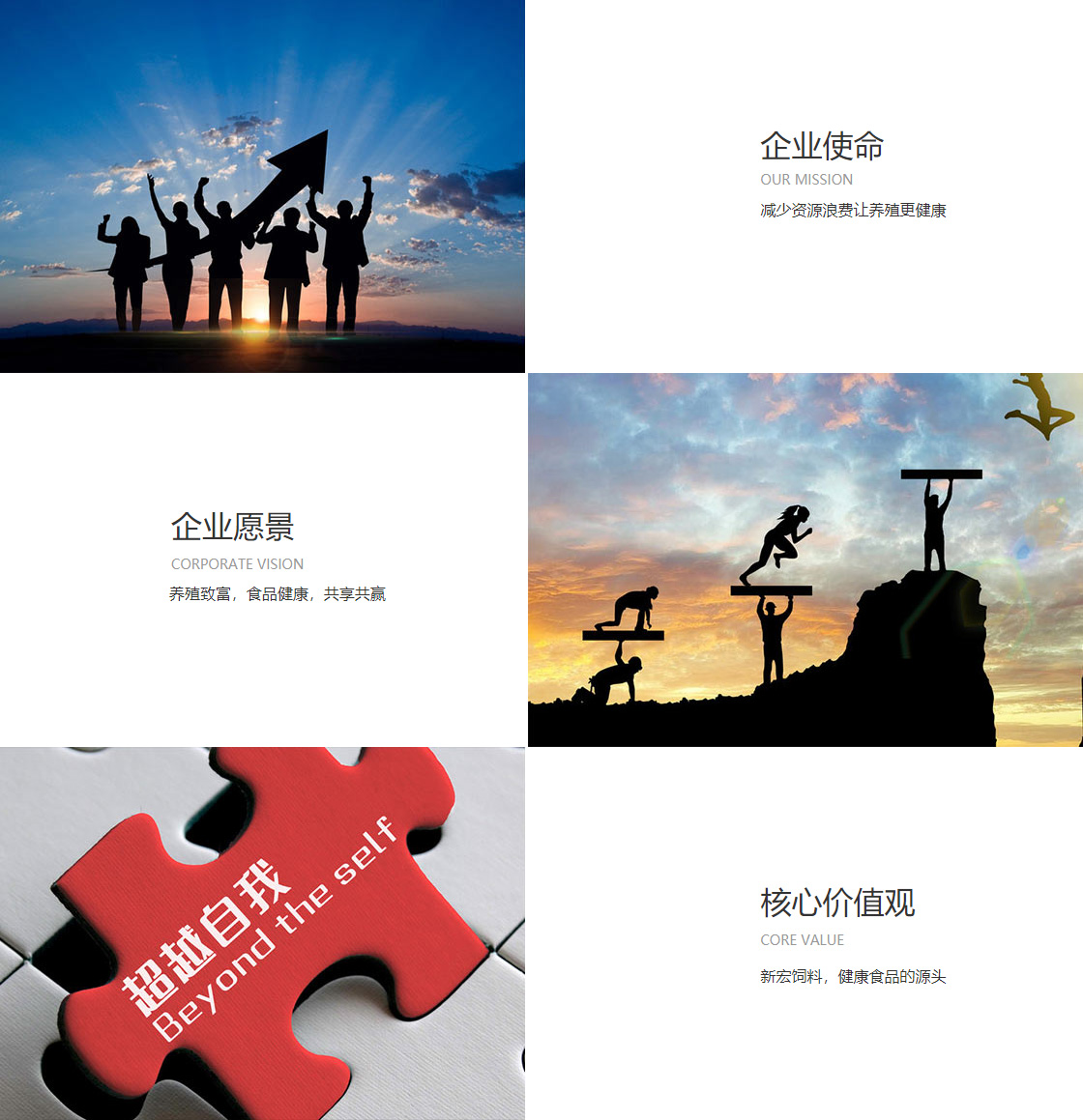 raybet雷竞技(图1)